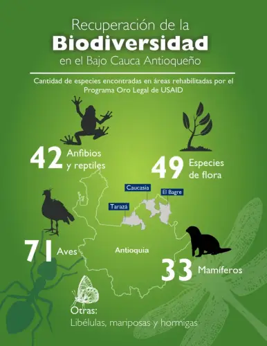 Infografia redes