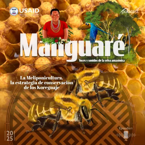 Manguare podacast