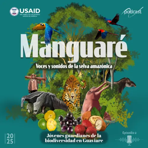 Manguare Podcast