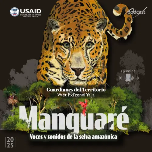 Manguare Podcast