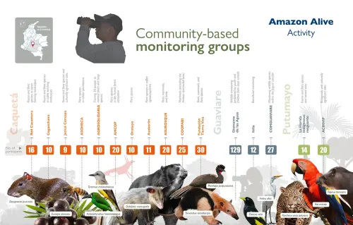 Infografia Monitoreo