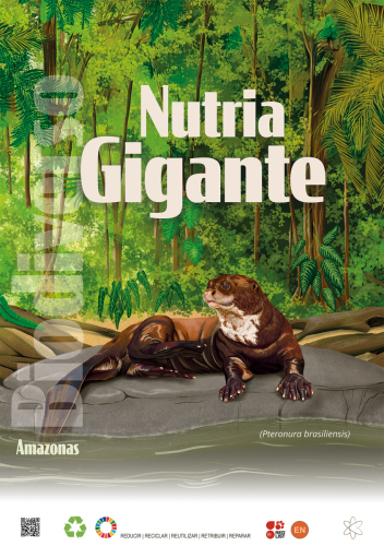 Nutria gigante — Pteronura brasiliensis
